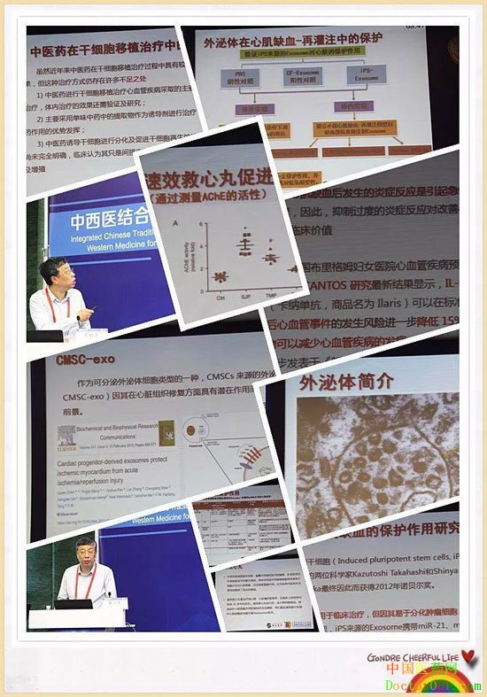 第十二届东方心脏病学会:速效救心丸可增强外泌体对心肌细胞的保护作用