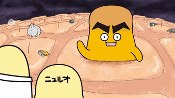 1531481832216221.gif 101336pejjzt4nt1jrq53c.gif