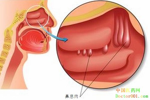 1531388579812501.jpg 备选图01.jpg