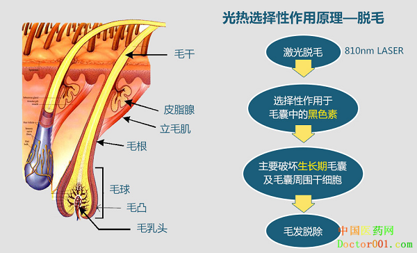 1532074771124705.png QQ图片20180720155311.png