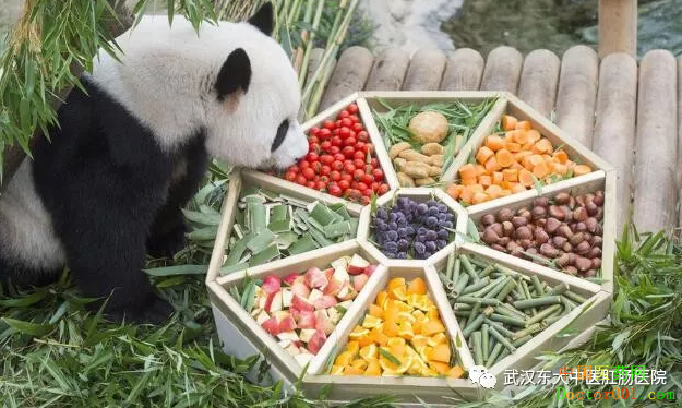 1539673995993838.png image.png