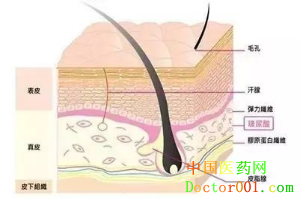 1544765558440401.png QQ截图20181123134814.png