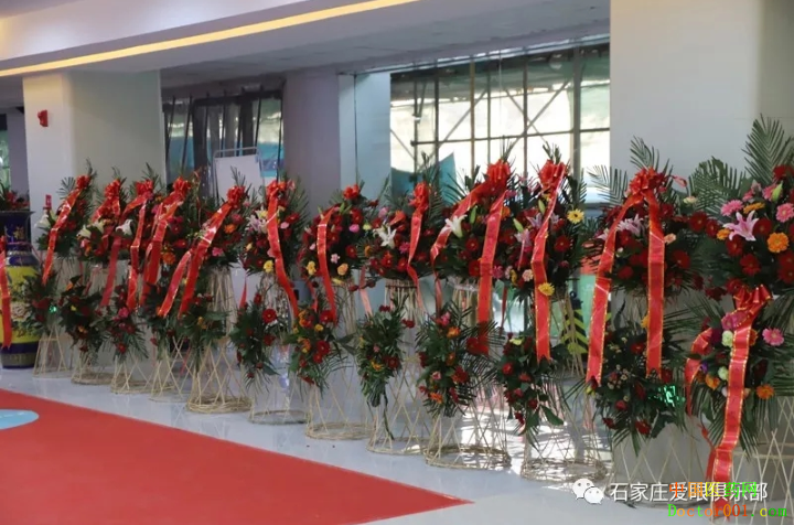 1545032535555777.png image.png