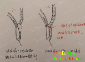 1546838995828042.png QQ截图20181124091452.png