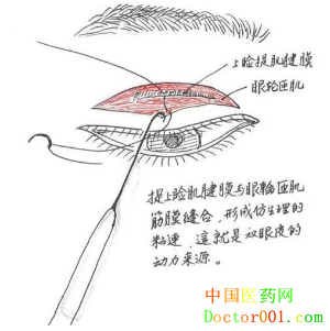 1546838979519121.png QQ截图20181124091433.png