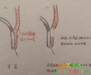 1546838989687757.png QQ截图20181124091446.png