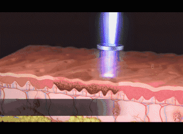 1546837116954494.gif 640.gif