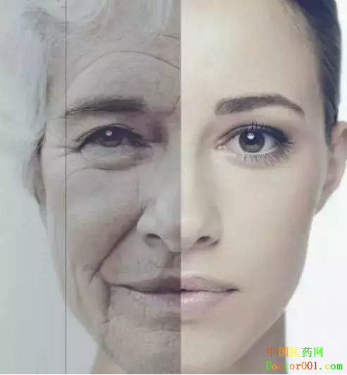 1552383441962488.png 21231.png