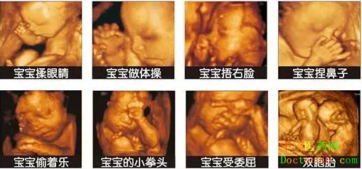 1557811995559497.png image.png