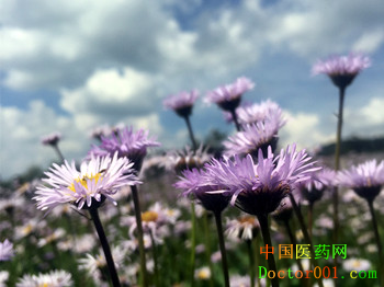 1560996788959212.png 图片46.png