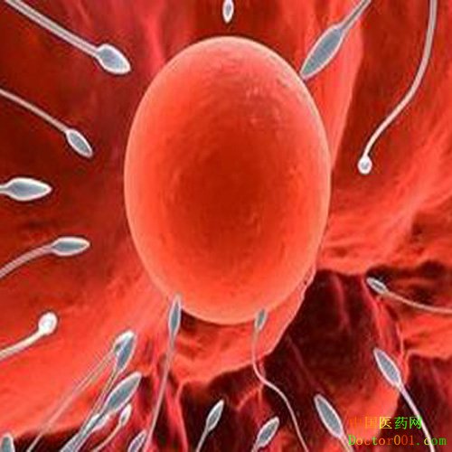 1564110599550052.jpg 55.jpg