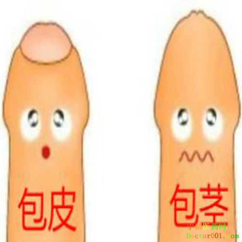 1565933667362347.jpg 22.jpg