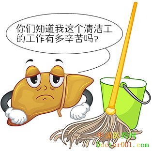 拒绝“肝”扰,玉米肽片只为更好的你