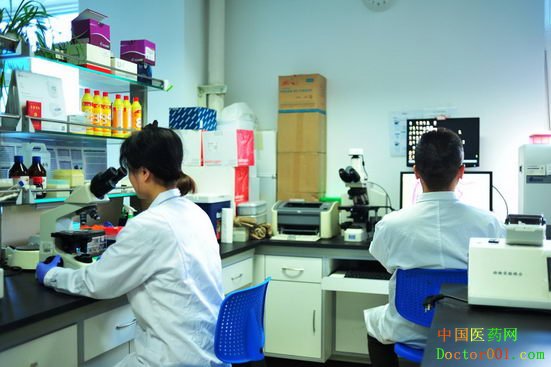 拒绝“肝”扰,玉米肽片只为更好的你