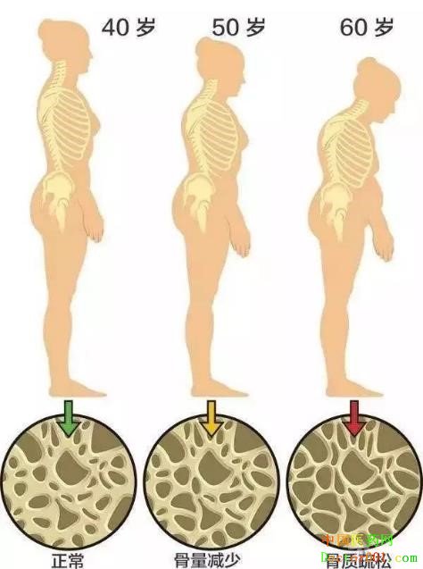 1571208687651755.jpg 1571208687651755.jpg