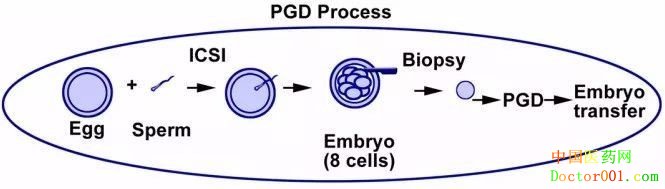 1574144270977488.jpg 2.jpg