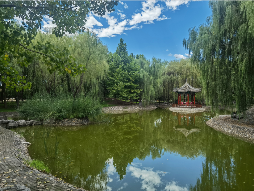 1668060586455470.png 3.png