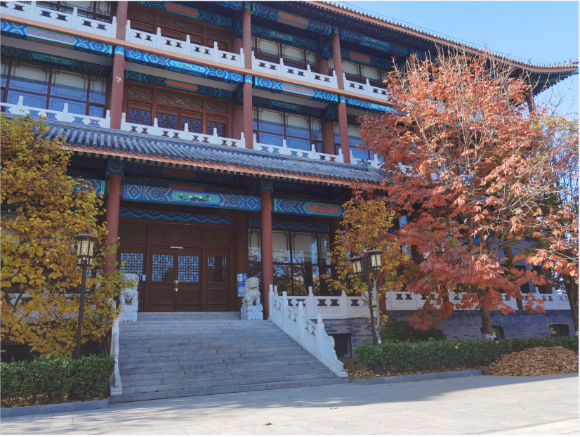 1668060581365165.png 2.png